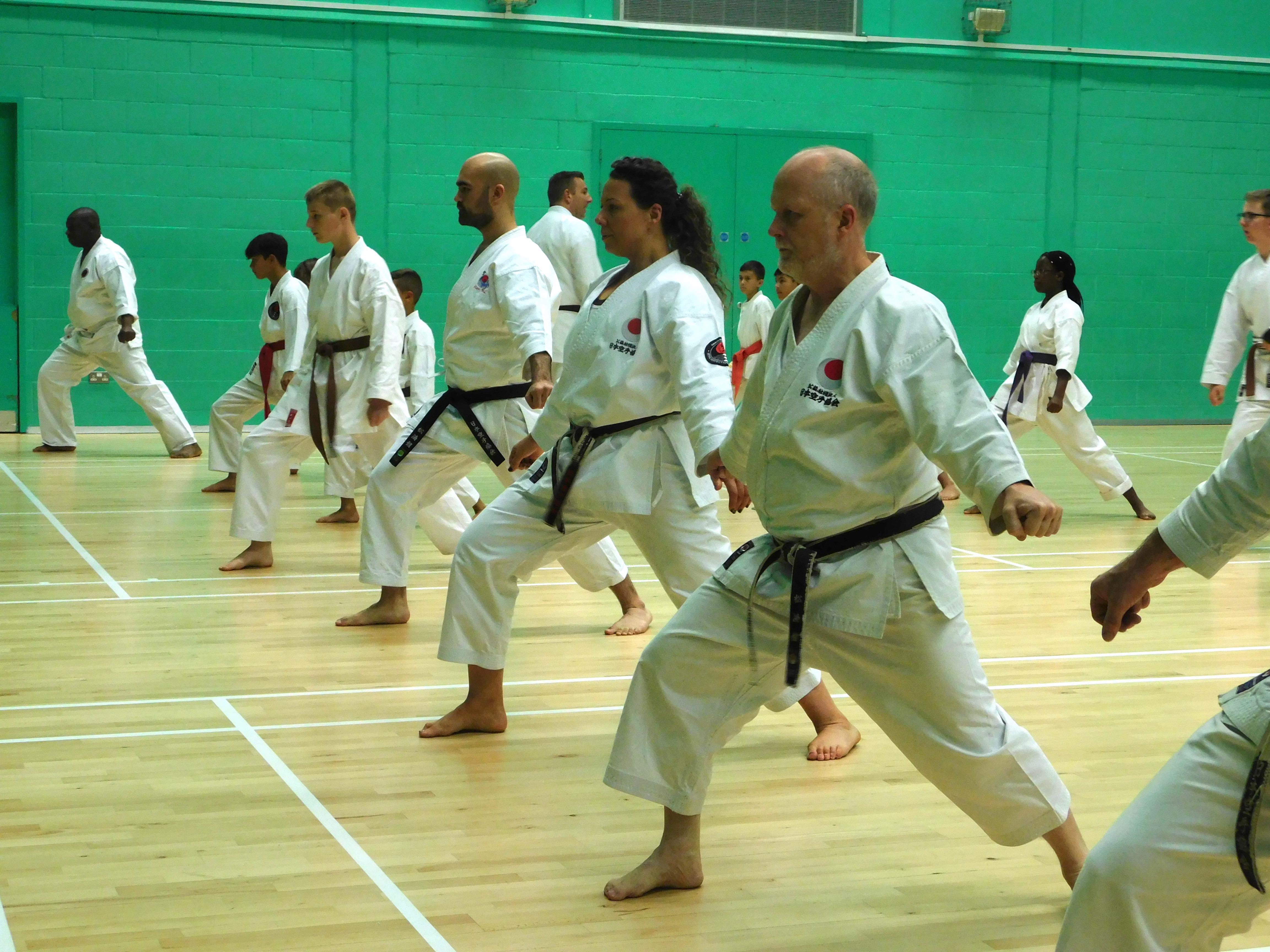 Karate Kicks with Sensei Dave Paulus - Harpenden JKA