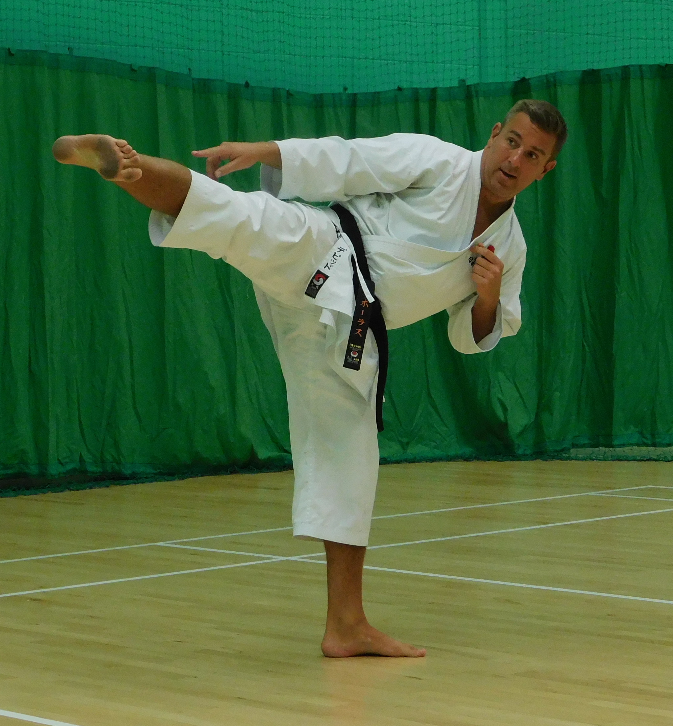 HJKA karate kicks 7