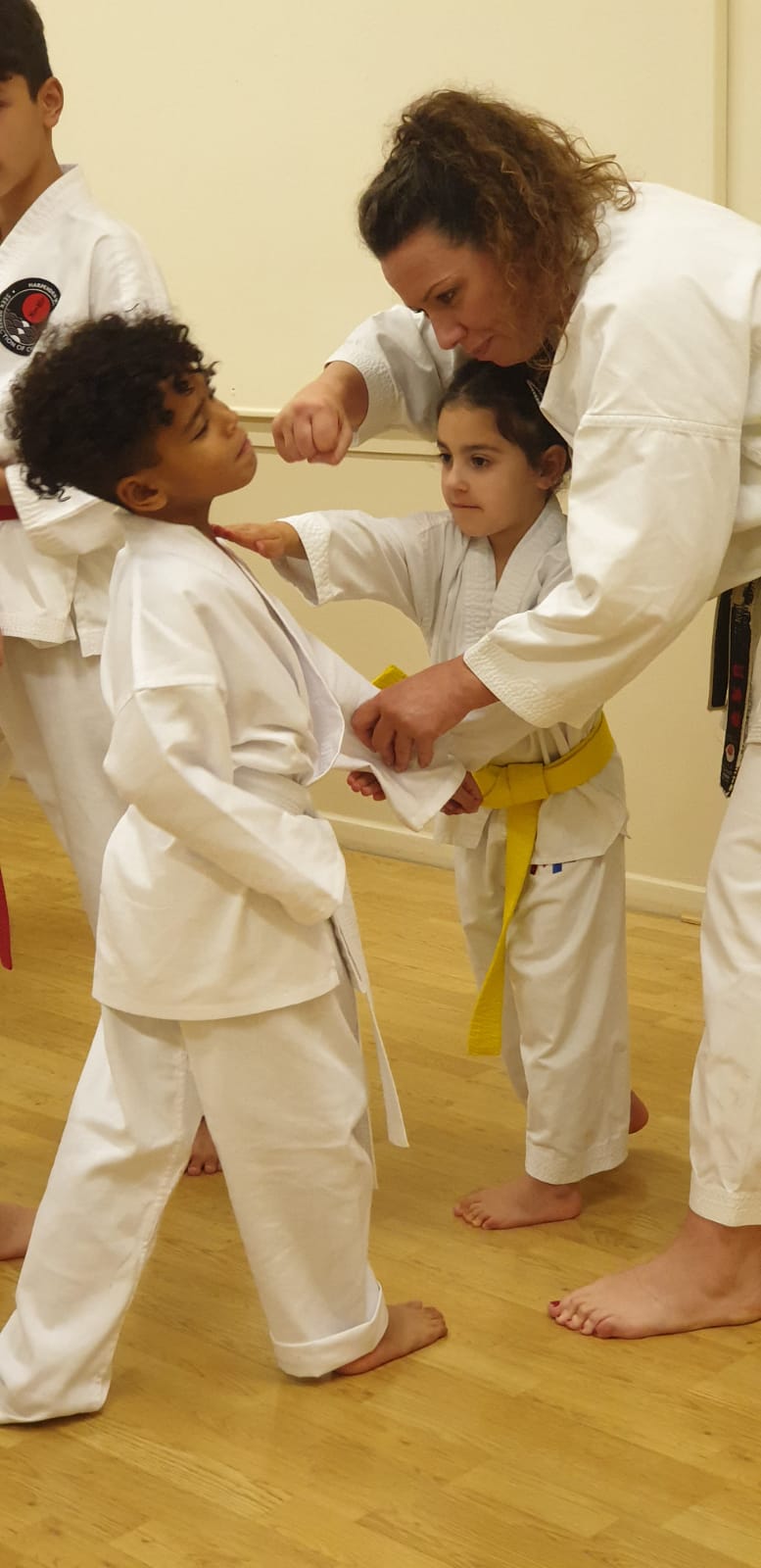 Karate beginners Harpenden 1